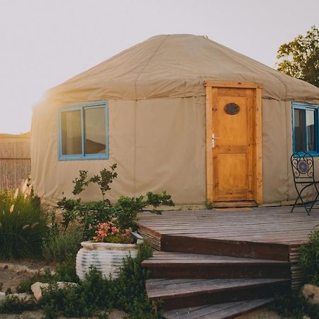 Villa Alpaca Farm - חוות האלפקות Mitzpe Ramon Exterior foto