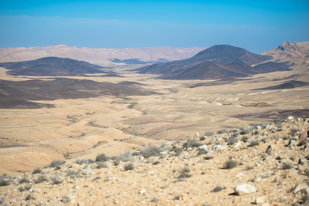 Villa Alpaca Farm - חוות האלפקות Mitzpe Ramon Exterior foto