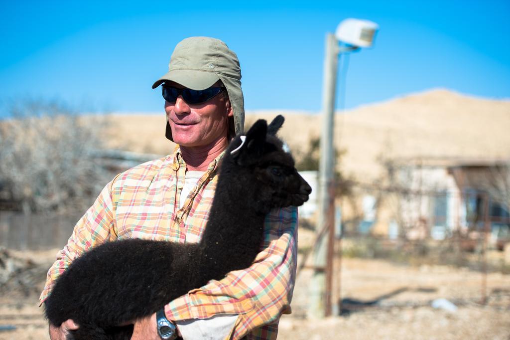 Villa Alpaca Farm - חוות האלפקות Mitzpe Ramon Exterior foto