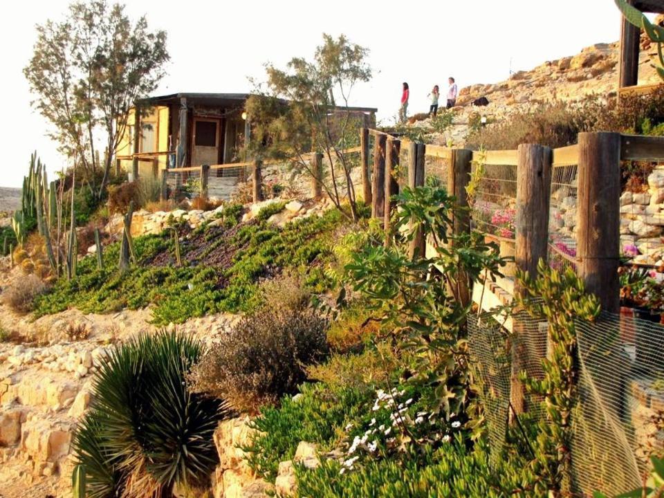 Villa Alpaca Farm - חוות האלפקות Mitzpe Ramon Exterior foto