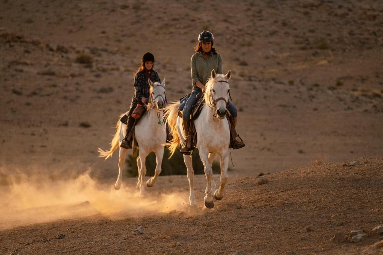 Villa Alpaca Farm - חוות האלפקות Mitzpe Ramon Exterior foto