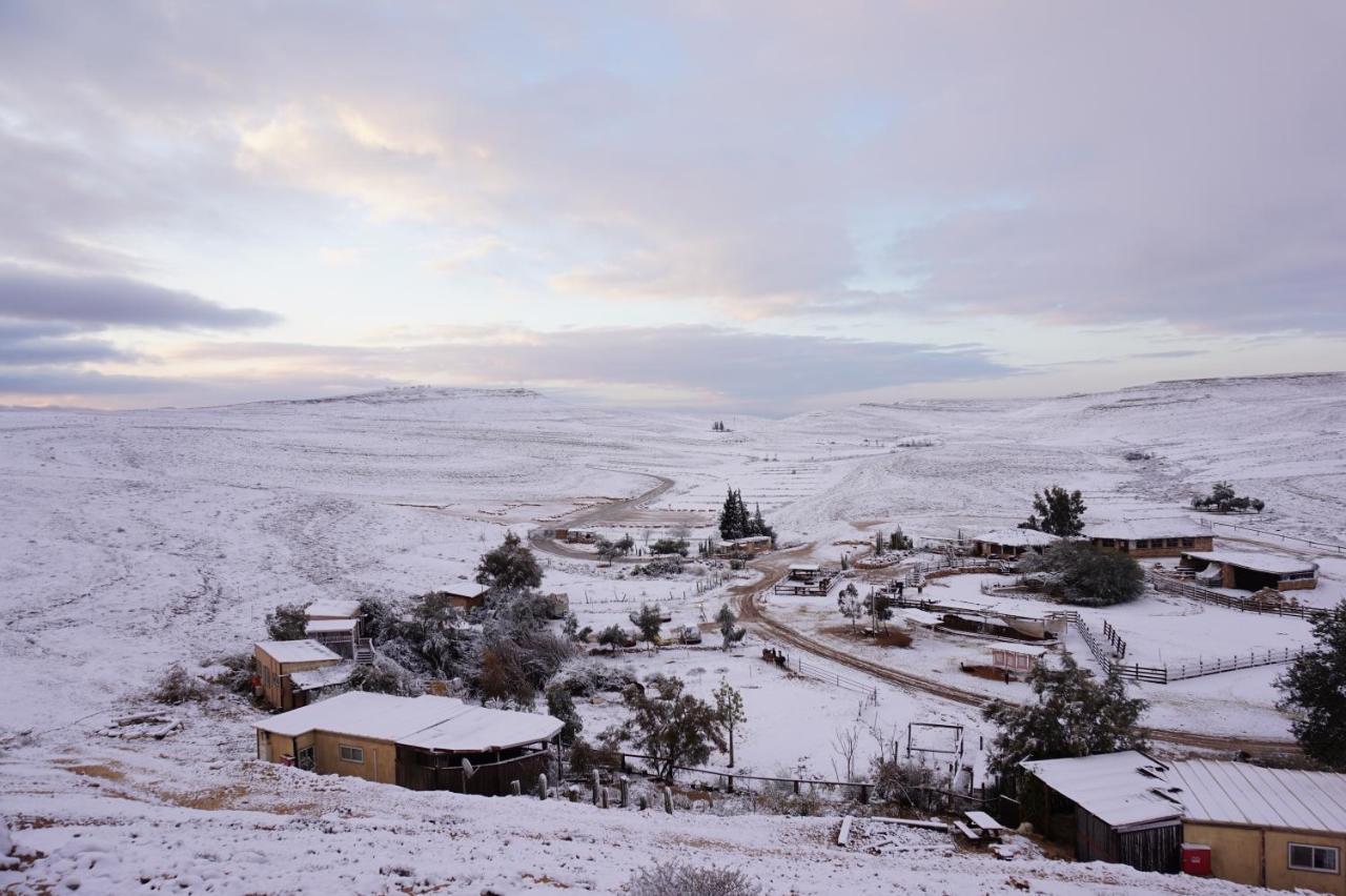 Villa Alpaca Farm - חוות האלפקות Mitzpe Ramon Exterior foto