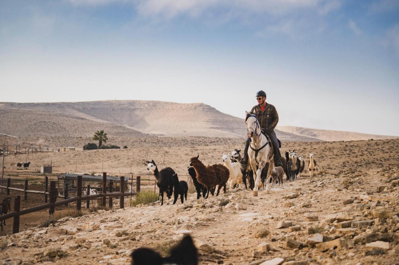 Villa Alpaca Farm - חוות האלפקות Mitzpe Ramon Exterior foto