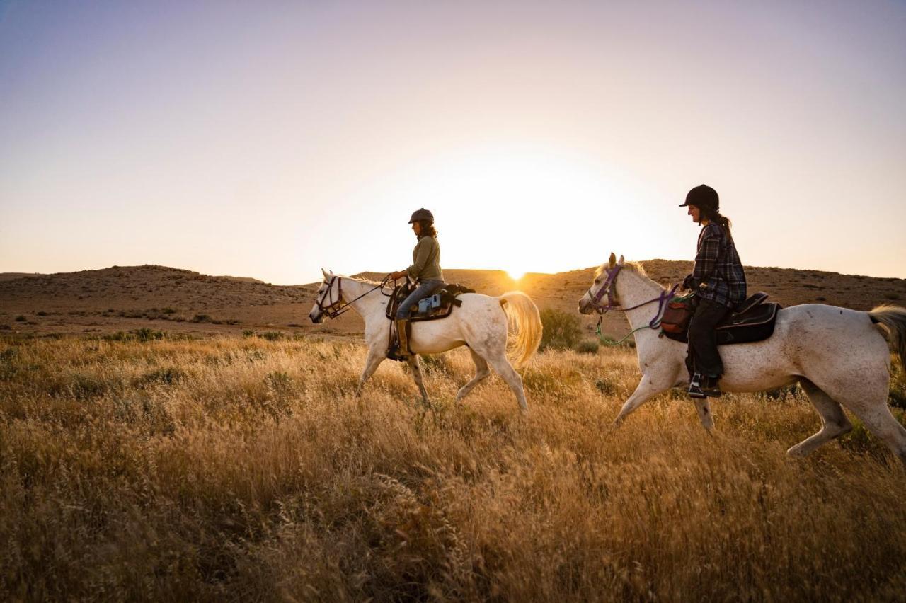 Villa Alpaca Farm - חוות האלפקות Mitzpe Ramon Exterior foto