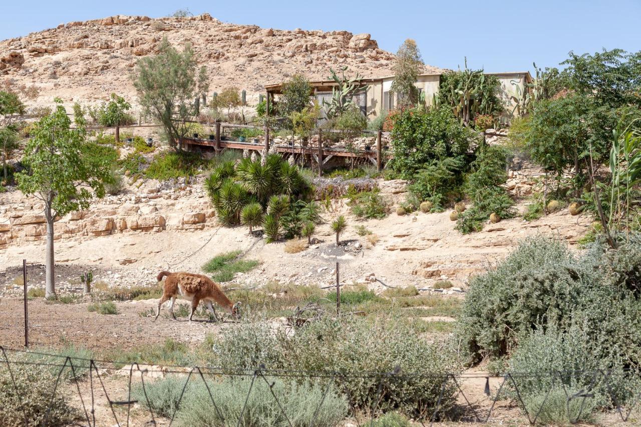 Villa Alpaca Farm - חוות האלפקות Mitzpe Ramon Exterior foto