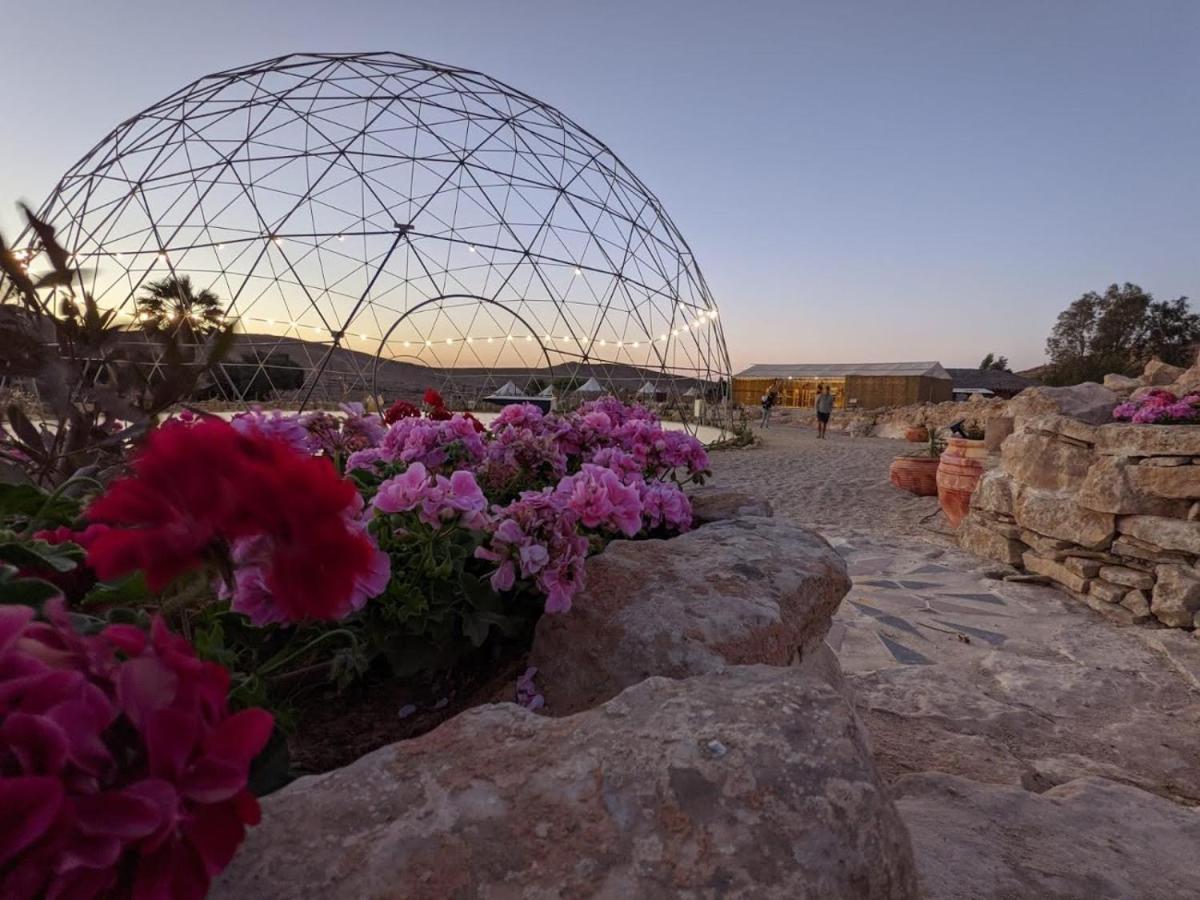 Villa Alpaca Farm - חוות האלפקות Mitzpe Ramon Exterior foto