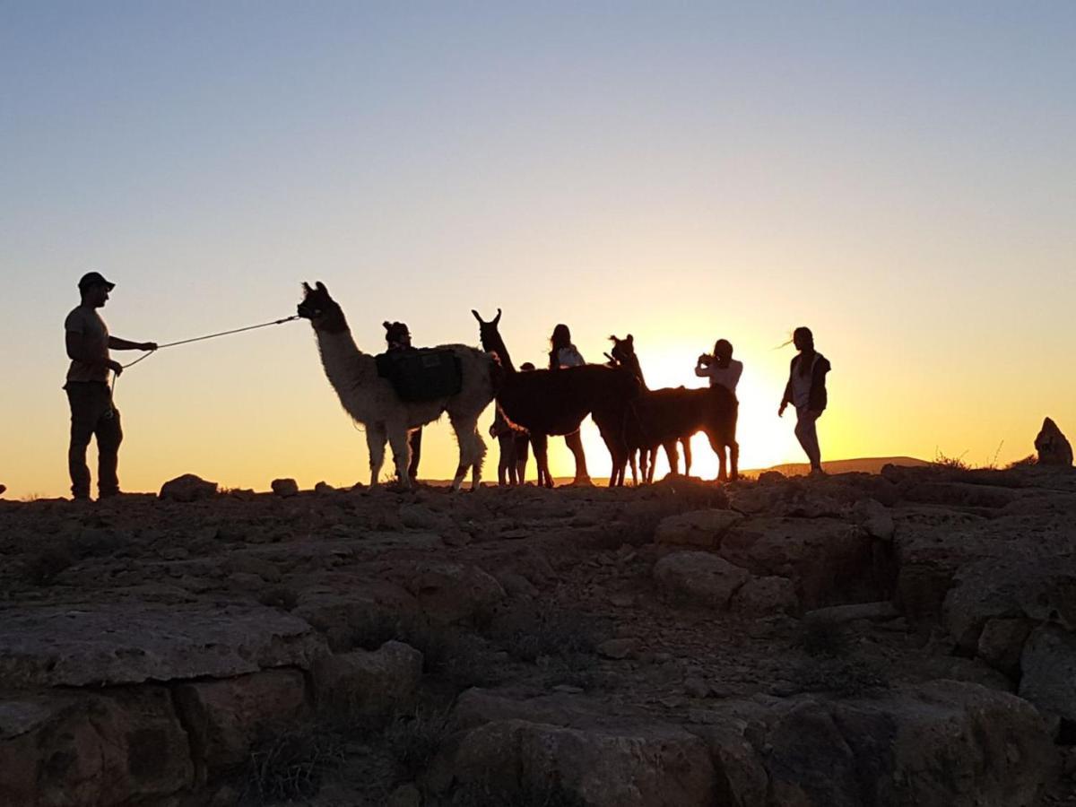 Villa Alpaca Farm - חוות האלפקות Mitzpe Ramon Exterior foto