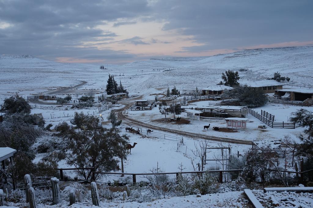 Villa Alpaca Farm - חוות האלפקות Mitzpe Ramon Exterior foto