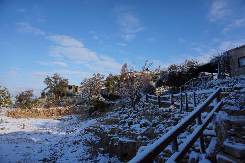 Villa Alpaca Farm - חוות האלפקות Mitzpe Ramon Exterior foto