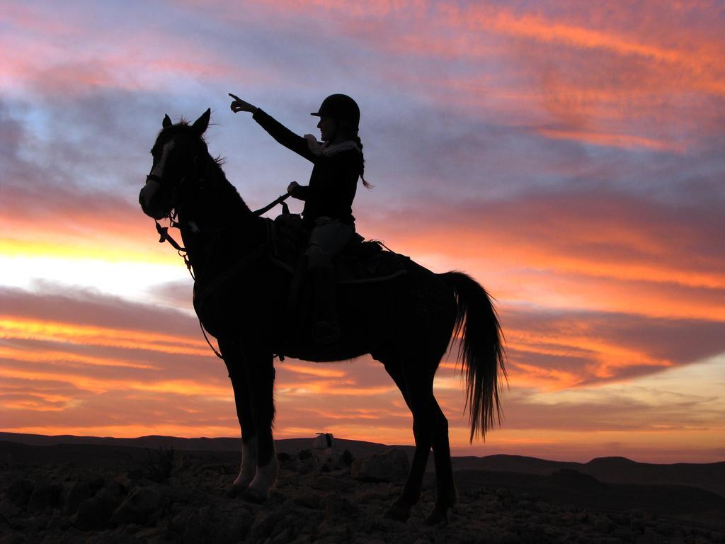 Villa Alpaca Farm - חוות האלפקות Mitzpe Ramon Exterior foto