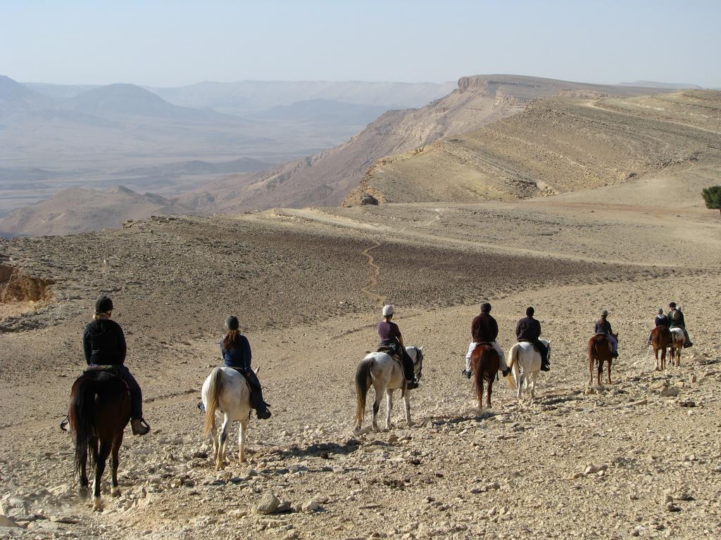 Villa Alpaca Farm - חוות האלפקות Mitzpe Ramon Exterior foto