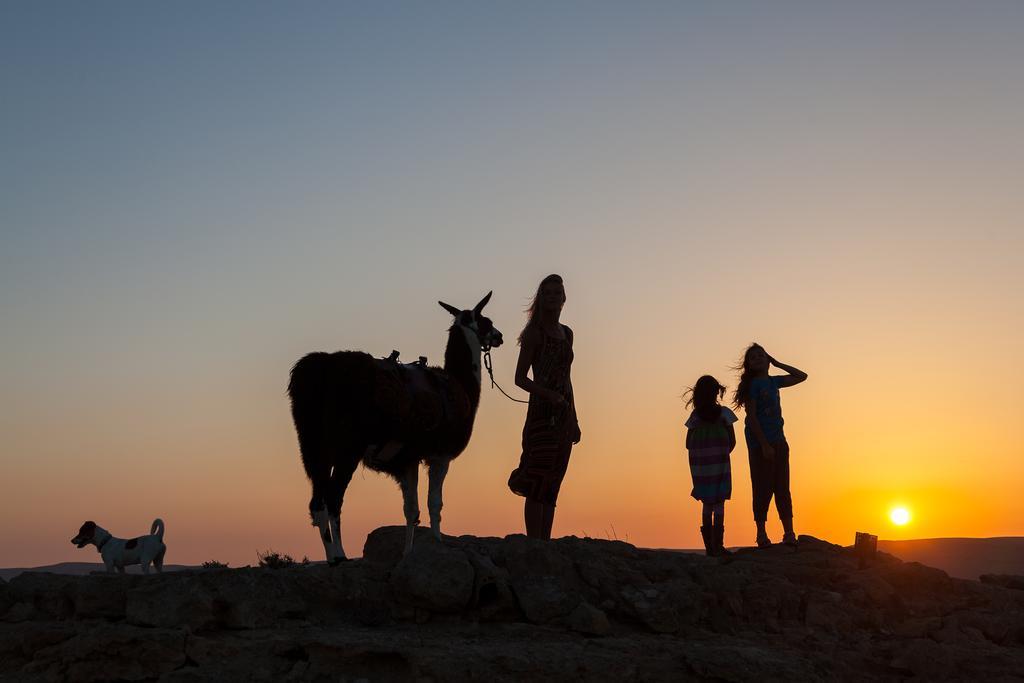 Villa Alpaca Farm - חוות האלפקות Mitzpe Ramon Exterior foto