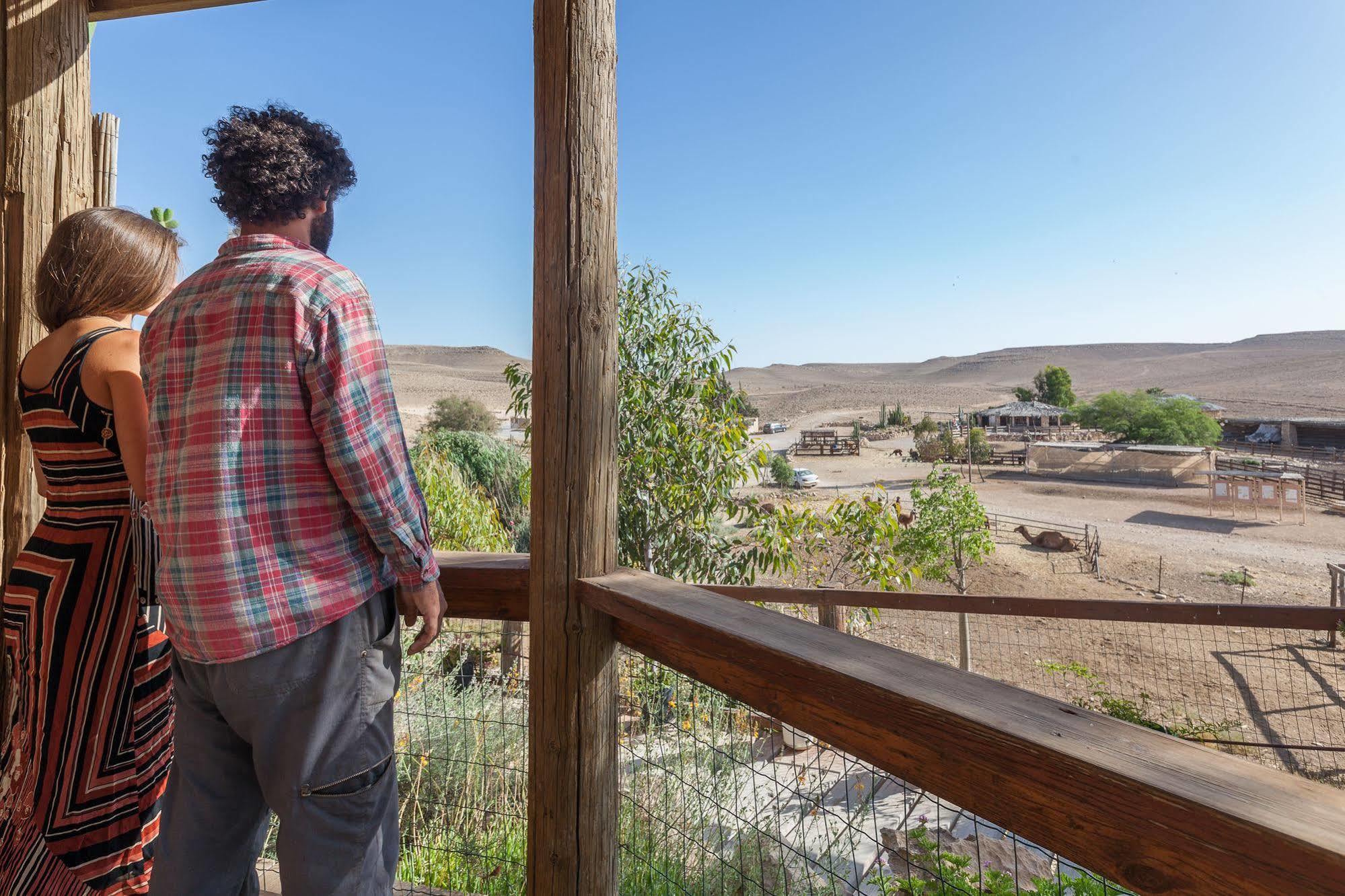 Villa Alpaca Farm - חוות האלפקות Mitzpe Ramon Exterior foto