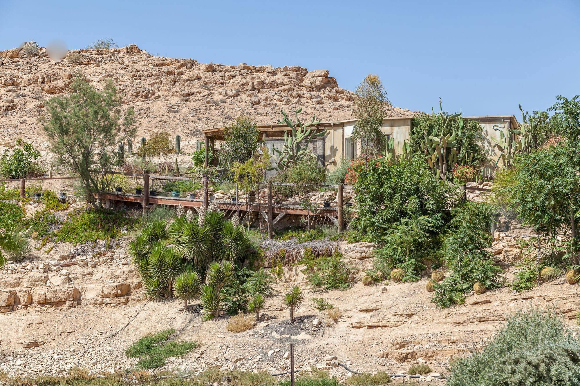 Villa Alpaca Farm - חוות האלפקות Mitzpe Ramon Exterior foto